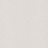 carving_dixon-white_01